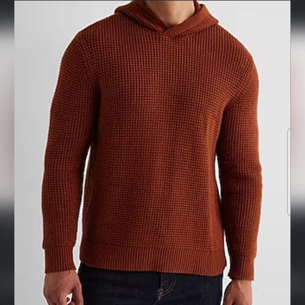 Express Men's Knit Hodded Sweater